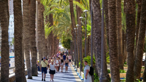 z8alicante371.mov - Starpik Stock