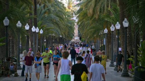 z8alicante415.mov - Starpik Stock