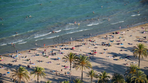 z8alicante420.mov - Starpik Stock