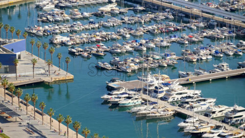 z8alicante446.mov - Starpik Stock