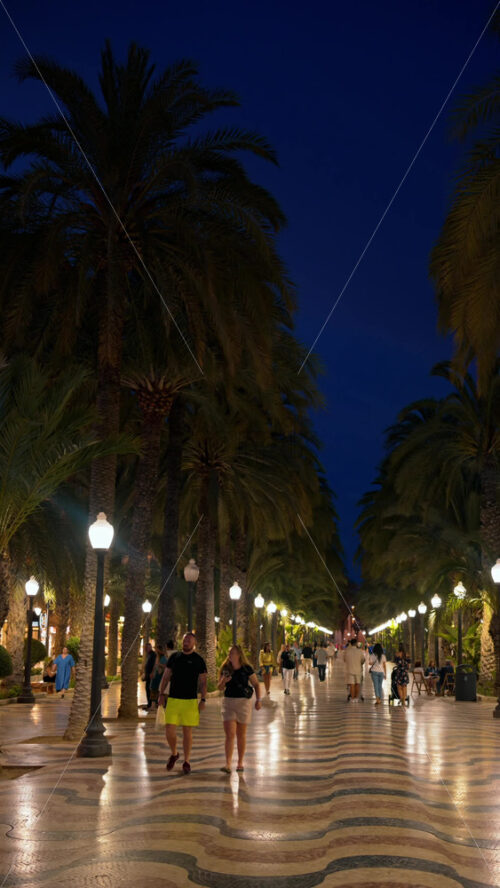 z8alicante50.mov - Starpik Stock