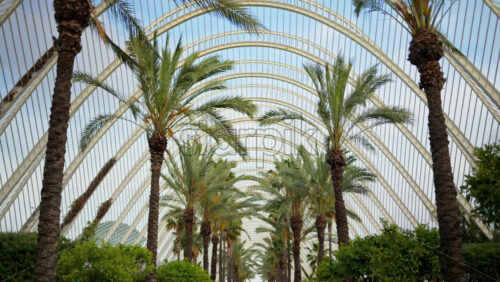 z8alicante504.mov - Starpik Stock