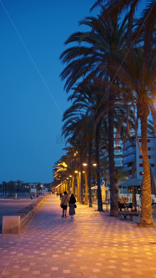 z8alicante53.mov - Starpik Stock