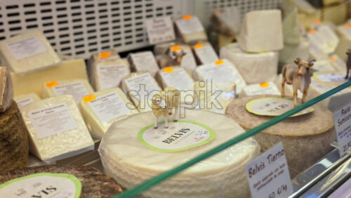 z8alicante579.mov - Starpik Stock