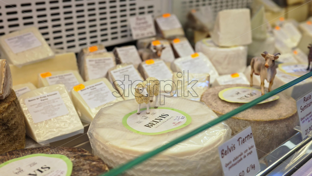 z8alicante579.mov - Starpik Stock