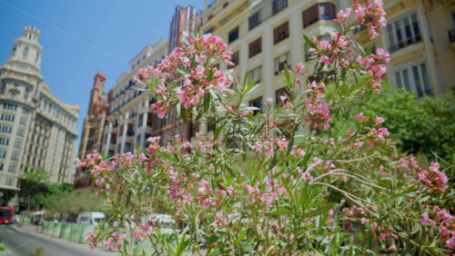 z8alicante602.mov - Starpik Stock