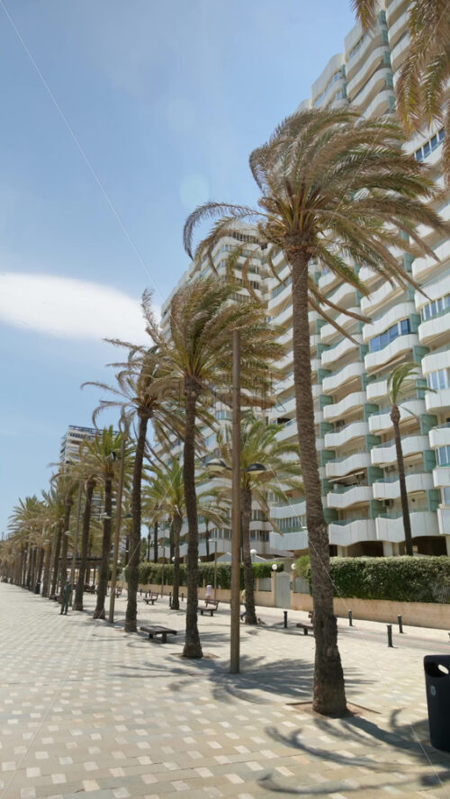 z8alicante629.mov - Starpik Stock