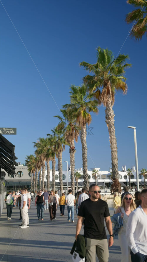 z8alicante663.mov - Starpik Stock