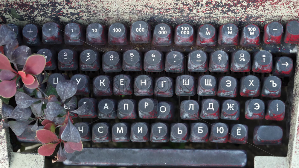 Video - Rustic close up of an old cyrillic typewriter with plants growing near it