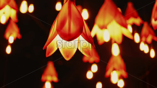 Video - Beautiful flower-shaped lights glowing warmly in the night, creating a dreamy atmosphere