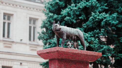Video - Chisinau, Moldova - September 25, 2025: Historic bronze statue of the Capitoline Wolf with Romulus and Remus on a red marble pedestal in front of the National History Museum of Moldova
