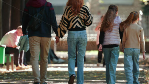 Video - Back view of a family strolling hand in hand through a park on a sunny autumn afternoon
