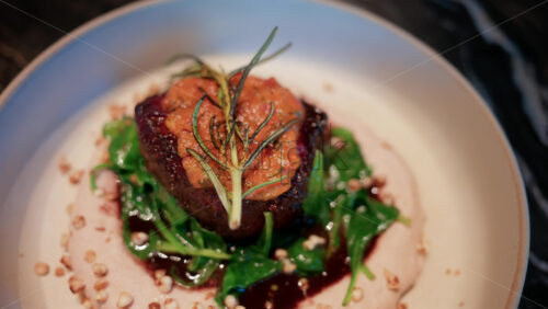 Video - Close up of a gourmet meat dish served with sauce, greens, and rosemary garnish on a white plate