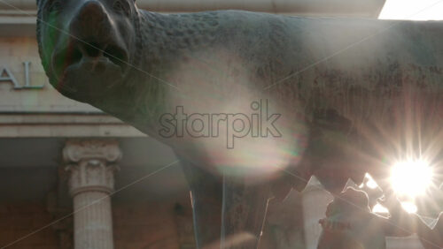 Video - Chisinau, Moldova - September 25, 2025: Historic bronze statue of the Capitoline Wolf with Romulus and Remus on a red marble pedestal in front of the National History Museum of Moldova
