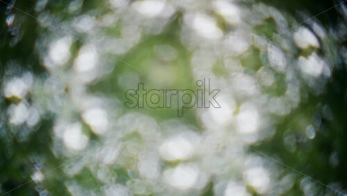 Video - A creative kaleidoscope effect featuring multiple mirrored images of green trees in a park