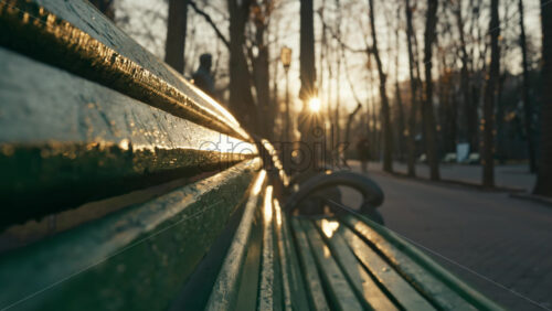 Video - Golden light reflects on Central Park green bench as the sun sets. People walking on background. Cold weather in late autumn. Chisinau Moldova