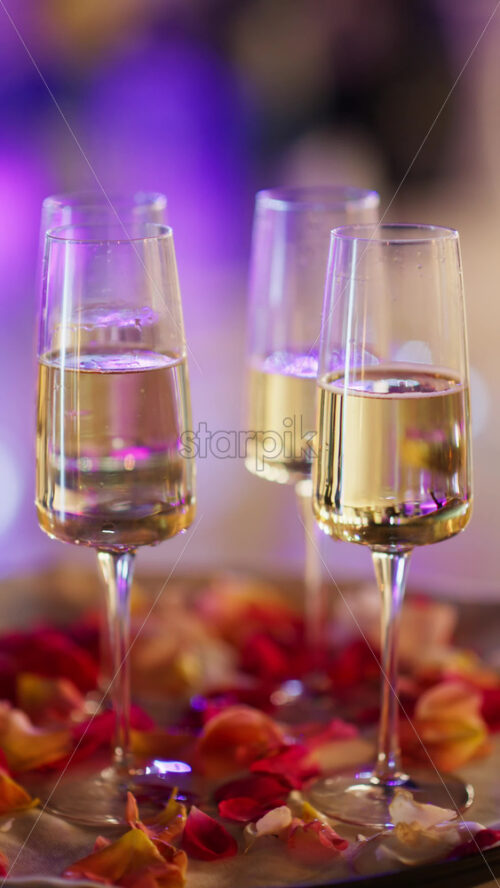 Video - Elegant glasses of sparkling champagne filled with light bubbles. Surrounding petals add a touch of romance. Wedding party on background