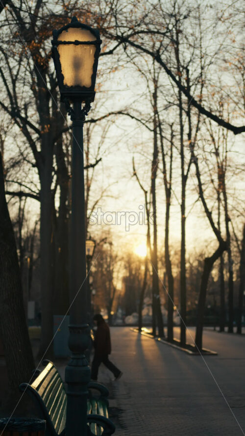 Video - A peaceful park setting during sunset, with bare trees casting long shadows. A person walks along the path. Vertical video. Chisinau, Moldova