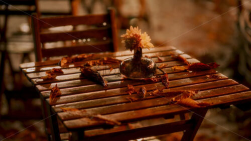 Video - Raindrops gently hit a wooden table surrounded by colorful autumn leaves. A simple flower vase adds charm to the cozy outdoor setting on a rainy day.