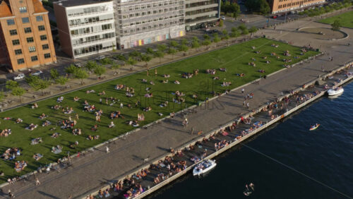 Video - Aerial view of locals gathering on the green lawn and along the harbor edge in the evening sun at Havneparken, Islands Brygge in Copenhagen, Denamark