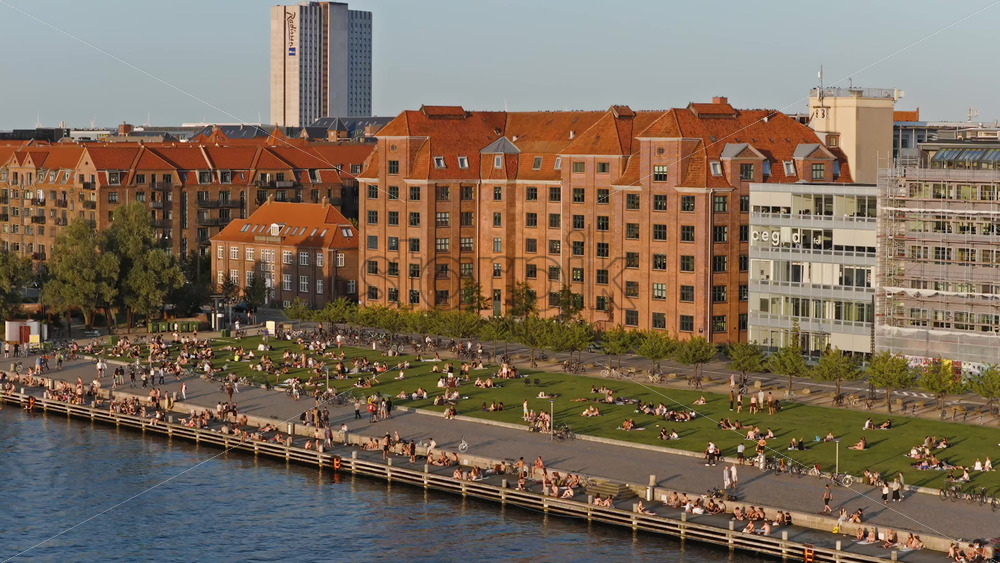 Video - Copenhagen, Denmark - August 6, 2025: Aerial drone view of Islands Brygge park with people relaxing on the grass and the Radisson Blu tower in the background at sunset