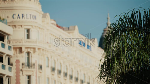 Video - Cannes, France - October 3, 2025: Blurred view of the Carlton Hotel facade with palm trees in the foreground under a clear blue sky