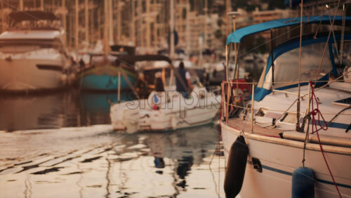 Video - Elegant sailboats lined up in a marina during golden hour, calm water reflecting the evening sun