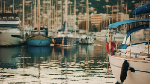 Video - Elegant sailboats lined up in a marina during golden hour, calm water reflecting the evening sun