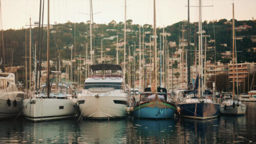 Video - Elegant sailboats lined up in a marina during golden hour, calm water reflecting the evening sun