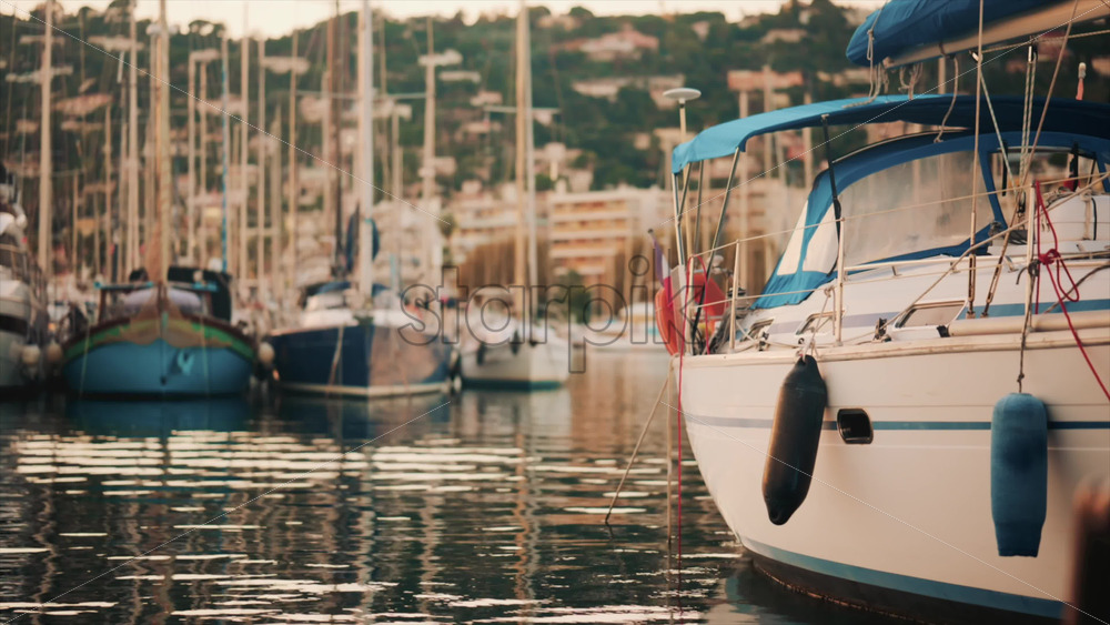 Video - Elegant sailboats lined up in a marina during golden hour, calm water reflecting the evening sun