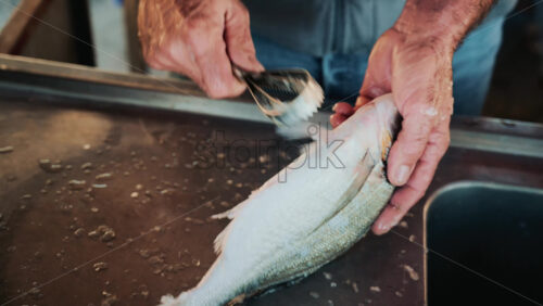 Video - Hands of an elderly fisherman scaling a fresh fish at a market counter