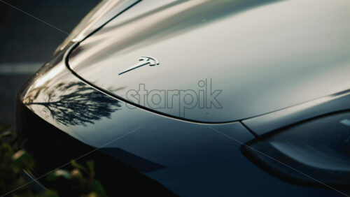 Video - Cannes, France - October 20, 2025: Cinematic close up of a Tesla car hood reflecting the silhouette of a tree at sunset