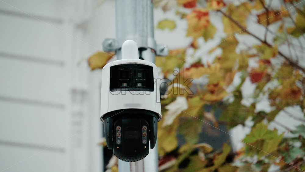 Video - Close up of a security surveillance camera mounted on a pole with blurred autumn leaves in the background