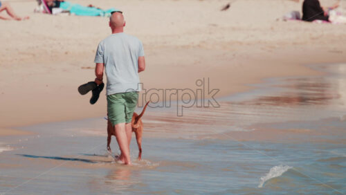Video - Man walking with his dog near shallow sea water on a sandy beach in Cannes, France