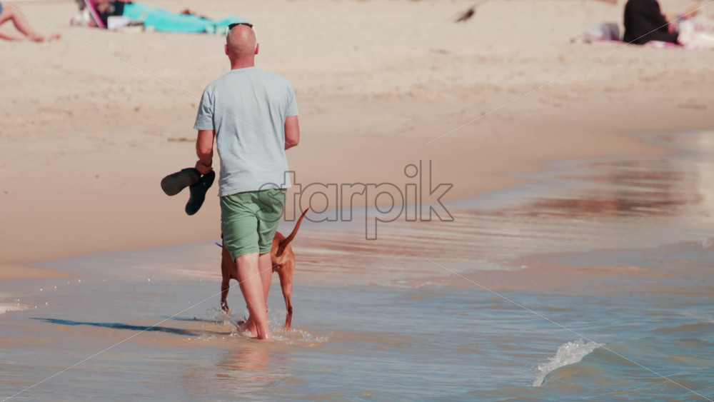 Video - Man walking with his dog near shallow sea water on a sandy beach in Cannes, France