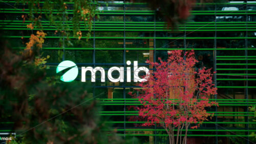 Video - Chisinau, Moldova - October 1, 2025: Modern glass building facade with the illuminated maib logo and red autumn leaves in the foreground