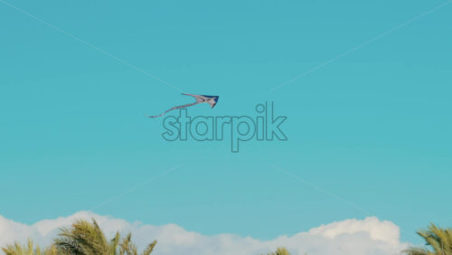 Video - A colorful kite soars above palm trees under a bright blue sky on a windy afternoon in Cannes, France