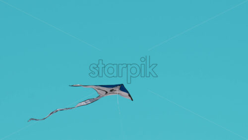 Video - A colorful kite soars above palm trees under a bright blue sky on a windy afternoon in Cannes, France