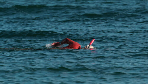 Video - An elderly man swims with a snorkel and mask in the clear blue sea, exploring underwater life near the surface