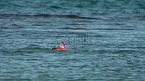 Video - An elderly man swims with a snorkel and mask in the clear blue sea, exploring underwater life near the surface