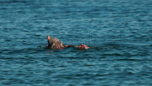 Video - An elderly man swims with a snorkel and mask in the clear blue sea, exploring underwater life near the surface