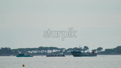 Video - Several fishing boats anchored near a coastal area with trees in the background under a soft sky