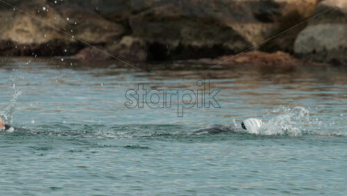 Video - Cannes, France - October 8, 2025: View of a swimmer in wetsuit and cap performing freestyle strokes in open water