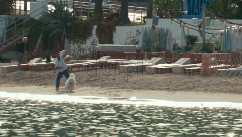 Video - Cannes, France - October 9, 2025: A man enjoys a sunny day at the beach, playing fetch with his white fluffy dog near the shoreline