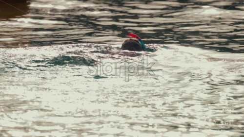 Video - A woman snorkeling in the ocean, floating in gentle water under soft sunlight