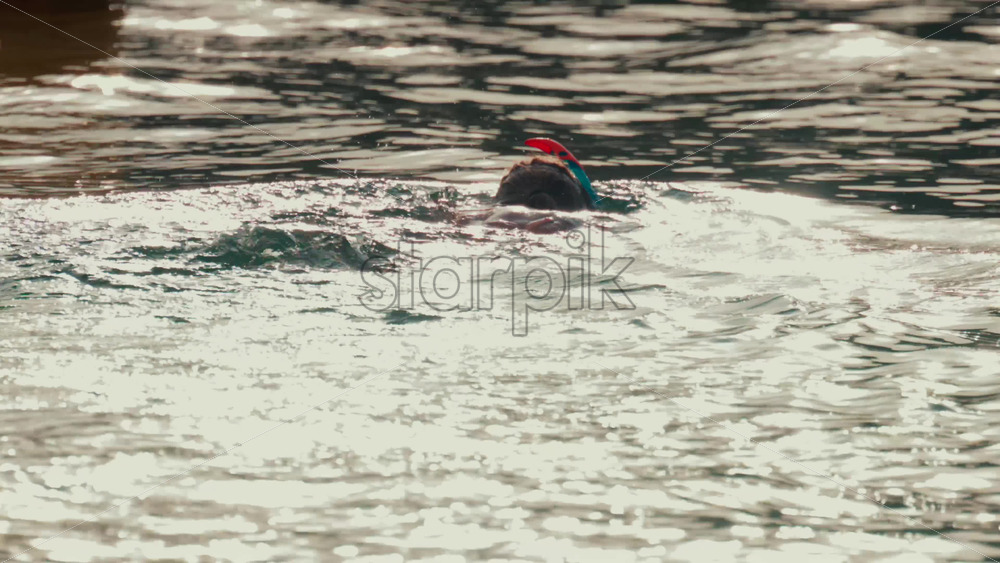 Video - A woman snorkeling in the ocean, floating in gentle water under soft sunlight