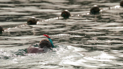 Video - A woman snorkeling in the ocean, floating in gentle water under soft sunlight