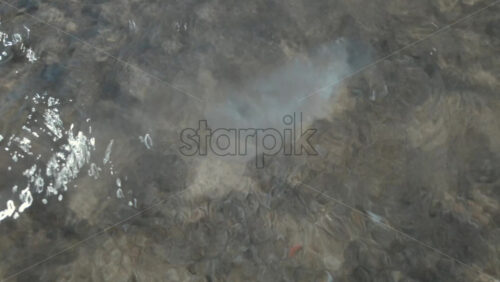 Video - Close up of a transparent jellyfish floating in shallow clear water with sunlight reflections