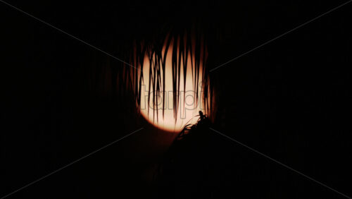 Video - A palm leaf gently moves in front of a glowing moon, creating a serene tropical silhouette