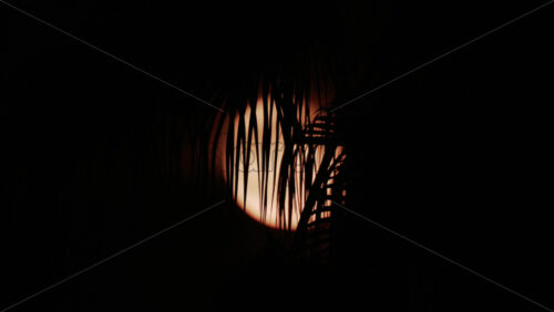 Video - A palm leaf gently moves in front of a glowing moon, creating a serene tropical silhouette